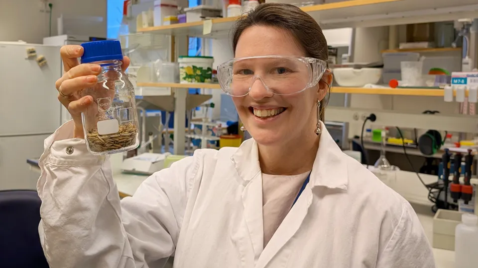 Smiling researcher in protective glasses and white lab coat. Photo.