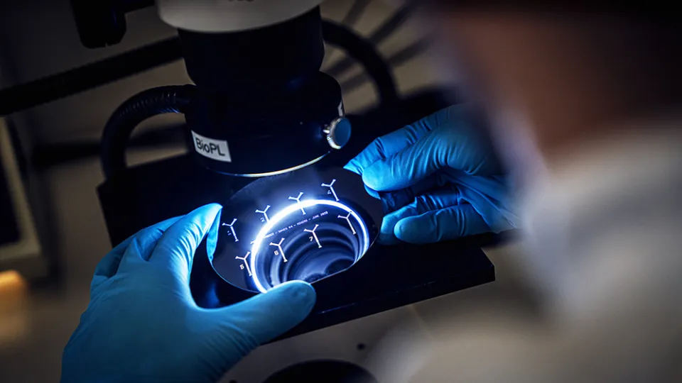 Detail photo of hands and a microscope. Photo.