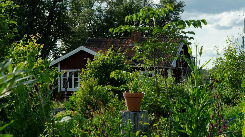 a summer house surrounded by lush greenery